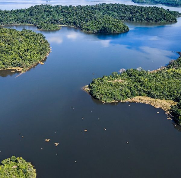  1. Lac Ossa en vue aérienne - Réserve de faune du Lac Ossa - Région du Littoral - Cameroun